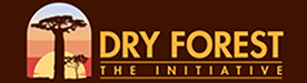 Logo Dry Forest